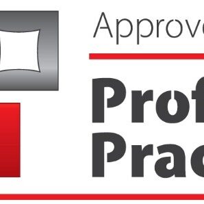 Profesional practice FPi 2024
